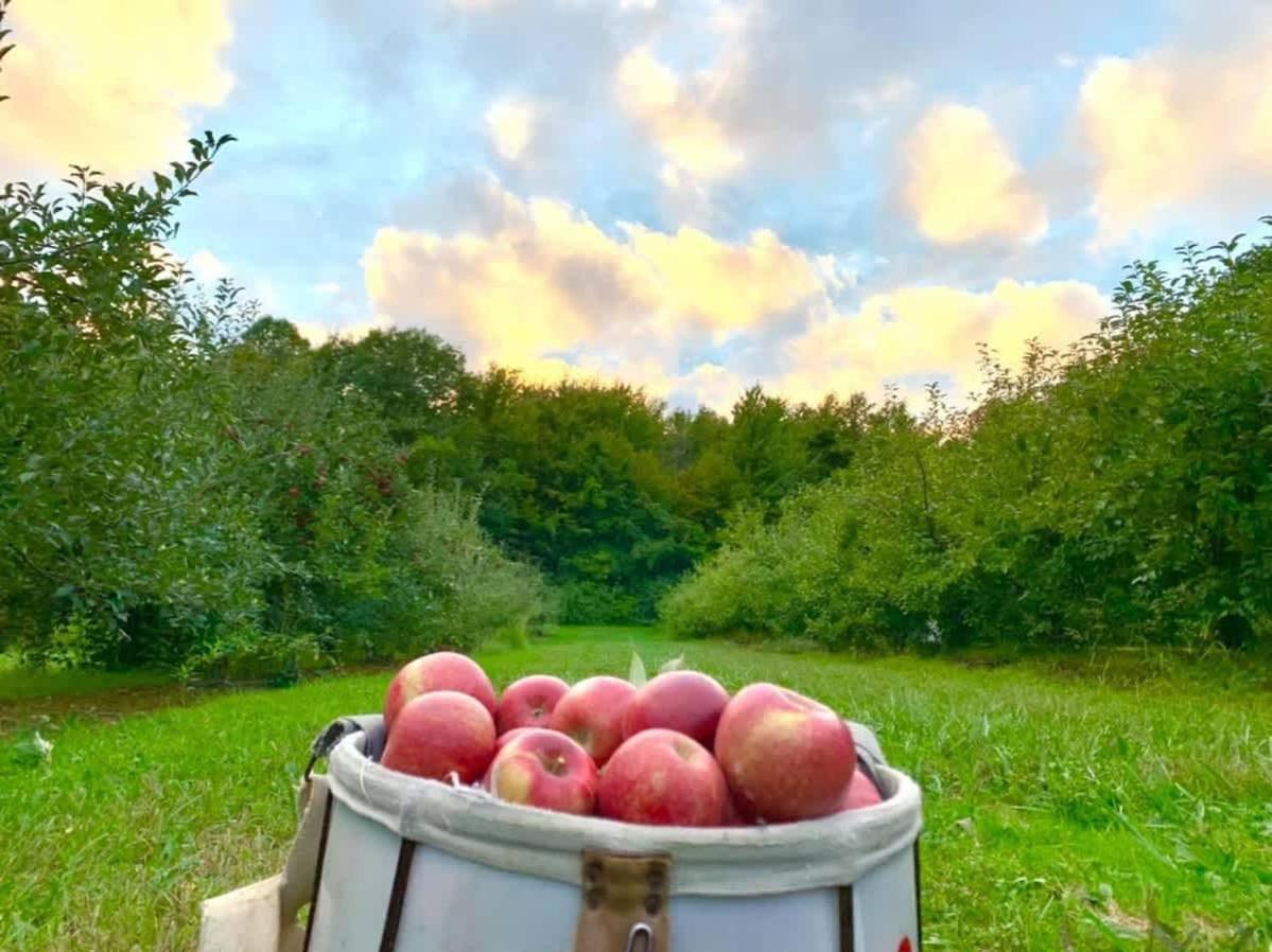 The Cortland Cottage At Brant'S Apple Orchard Ashtabula Luaran gambar