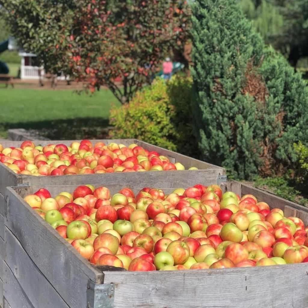 The Cortland Cottage At Brant'S Apple Orchard Ashtabula Luaran gambar