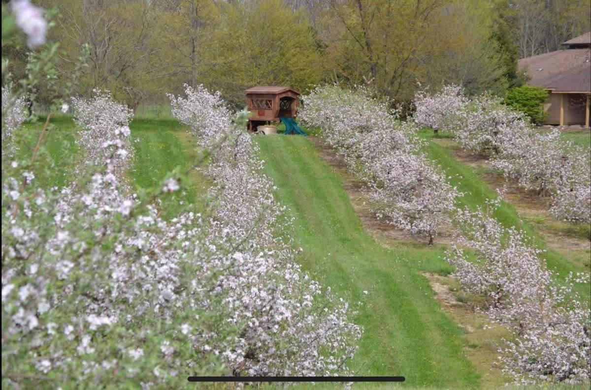 The Cortland Cottage At Brant'S Apple Orchard Ashtabula Luaran gambar